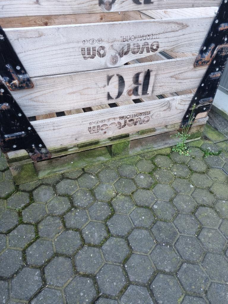 stevige houten krat op pallet 120x100x100 cm opbouwrand, Ophalen, Gebruikt, 100 tot 150 cm, 100 tot 125 cm