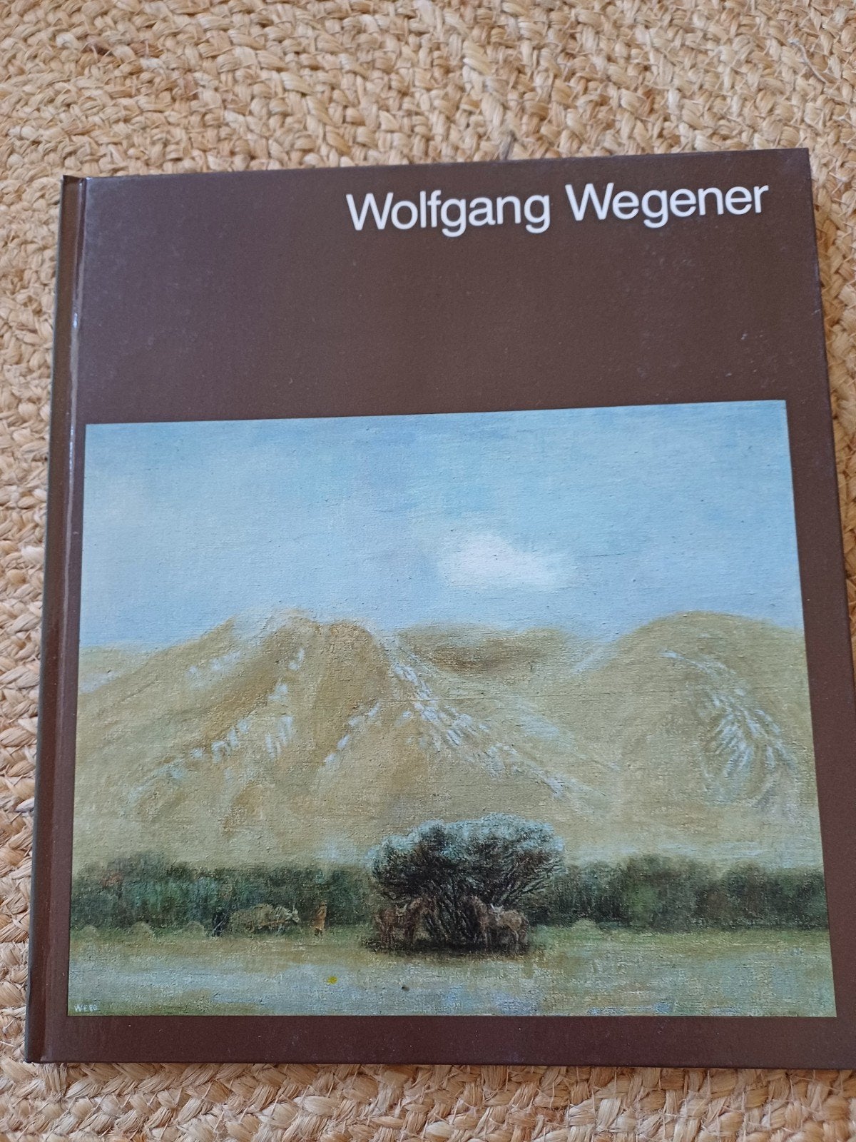 Wolfgang Wegener Kunstboek - Schilderijen en Tekeningen, Ophalen of Verzenden, Zo goed als nieuw, Schilder- en Tekenkunst, Klaus Weidner