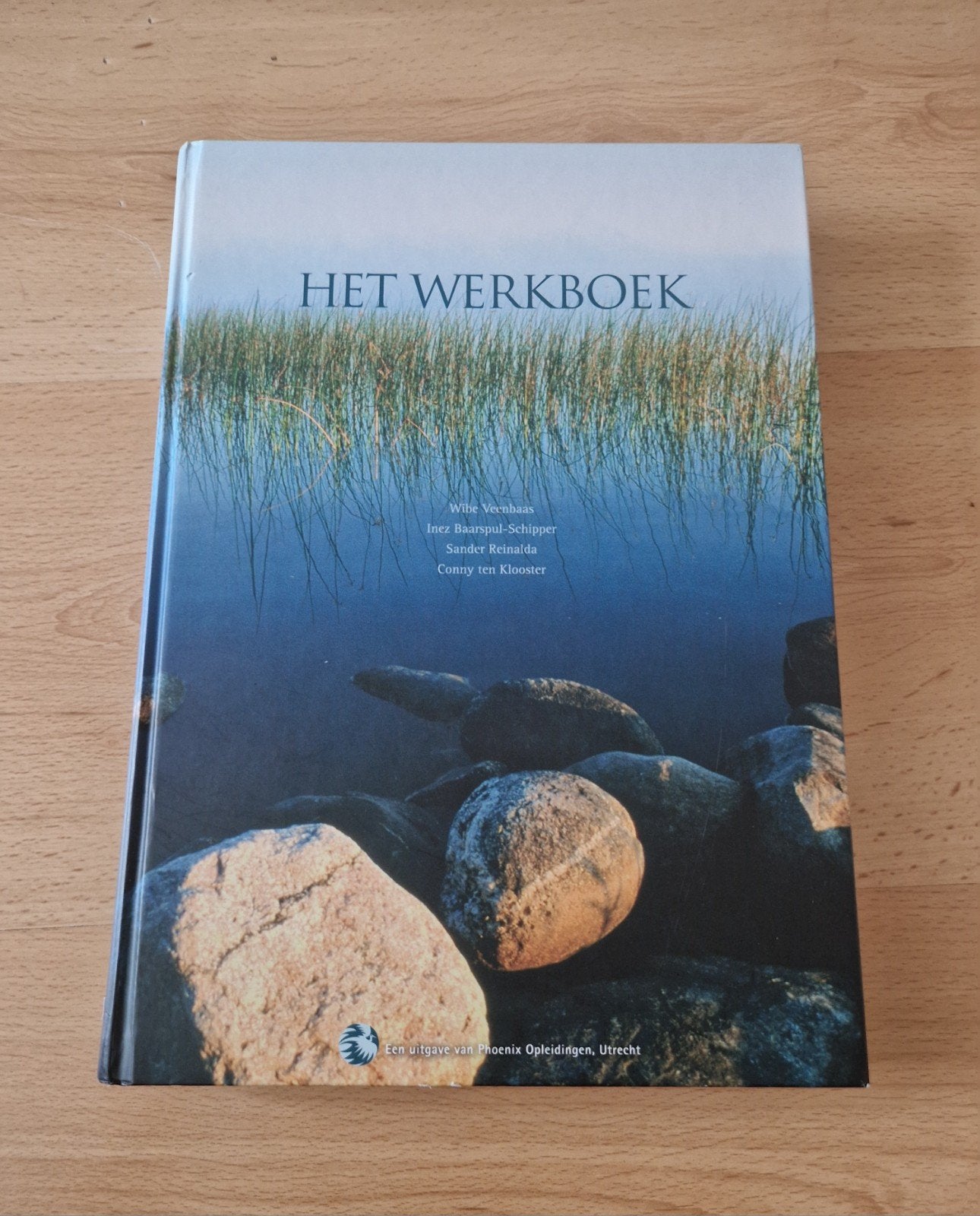 boek het werkboek wibe veenbaas phoenix opleiding, Ophalen of Verzenden, Beta, Zo goed als nieuw, HBO