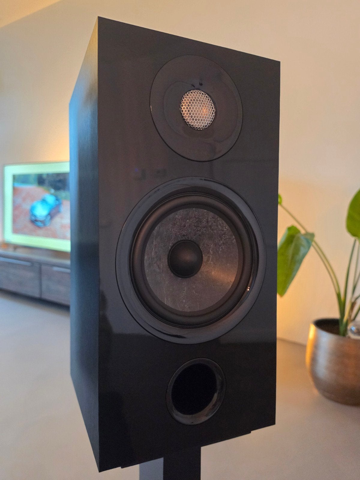 Focal Chora 806, Ophalen, Zo goed als nieuw, Overige merken