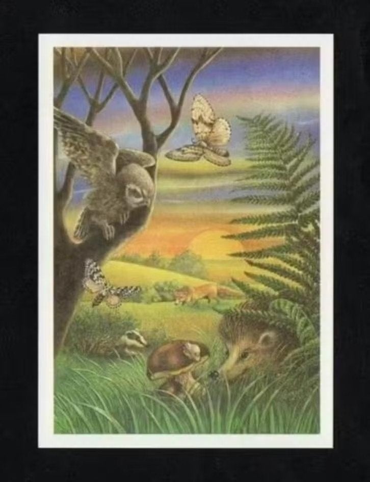Fantasie Uil Egel Das Vos Nachtvlinder Aardappelbovist., Verzamelen, Ansichtkaarten | Dieren, Ophalen of Verzenden, 1980 tot heden