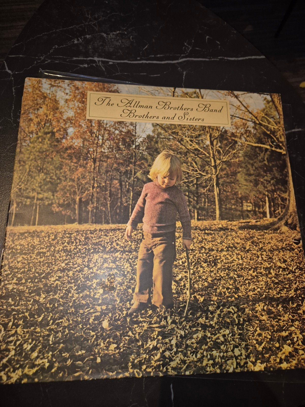 Allman Brothers Band - Brothers and Sisters, Cd's en Dvd's, Vinyl | Rock, Ophalen of Verzenden, Gebruikt, 12 inch, Poprock