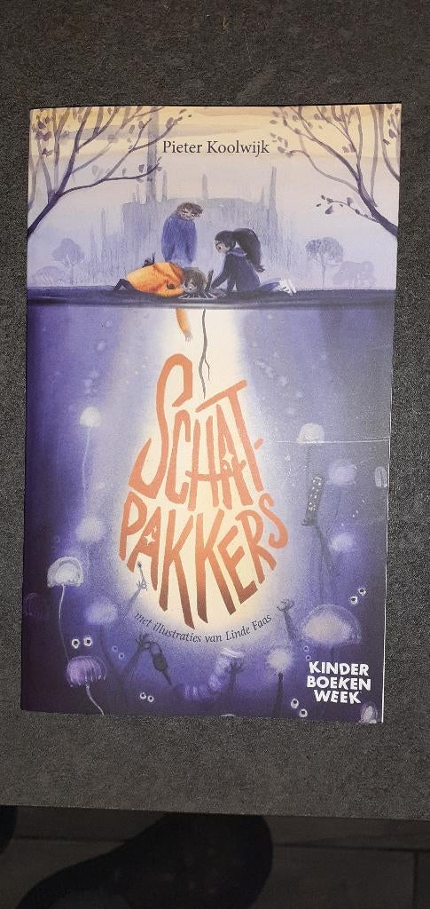 Schatpakkers - Pieter Koolwijk, Boeken, Ophalen of Verzenden, Nieuw, Pieter Koolwijk