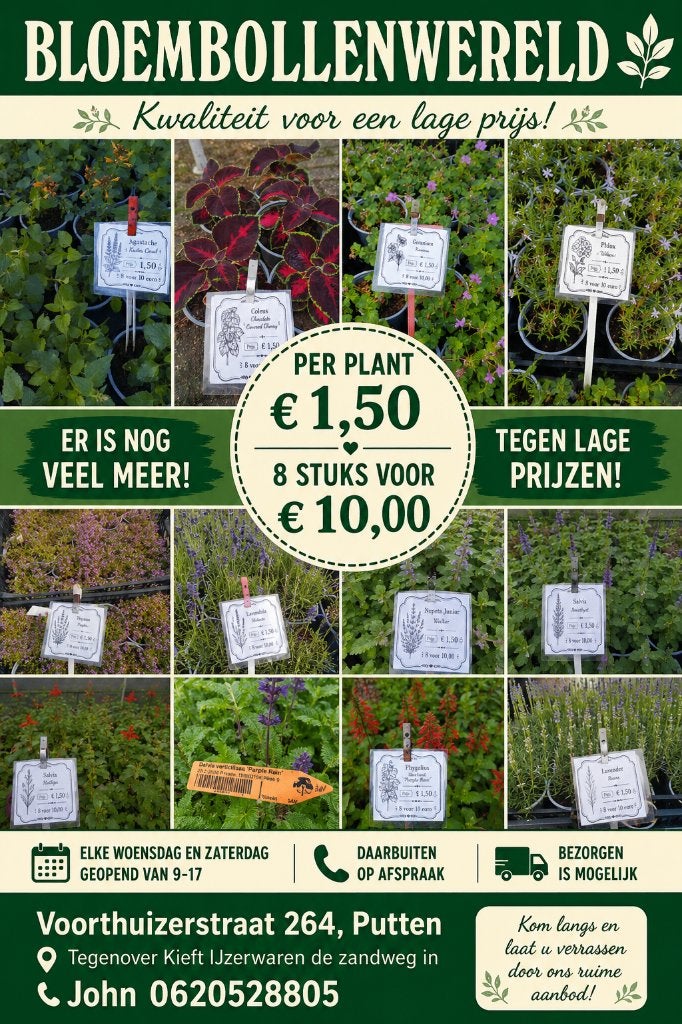 planten, Ophalen, Vaste plant, Overige soorten, Volle zon