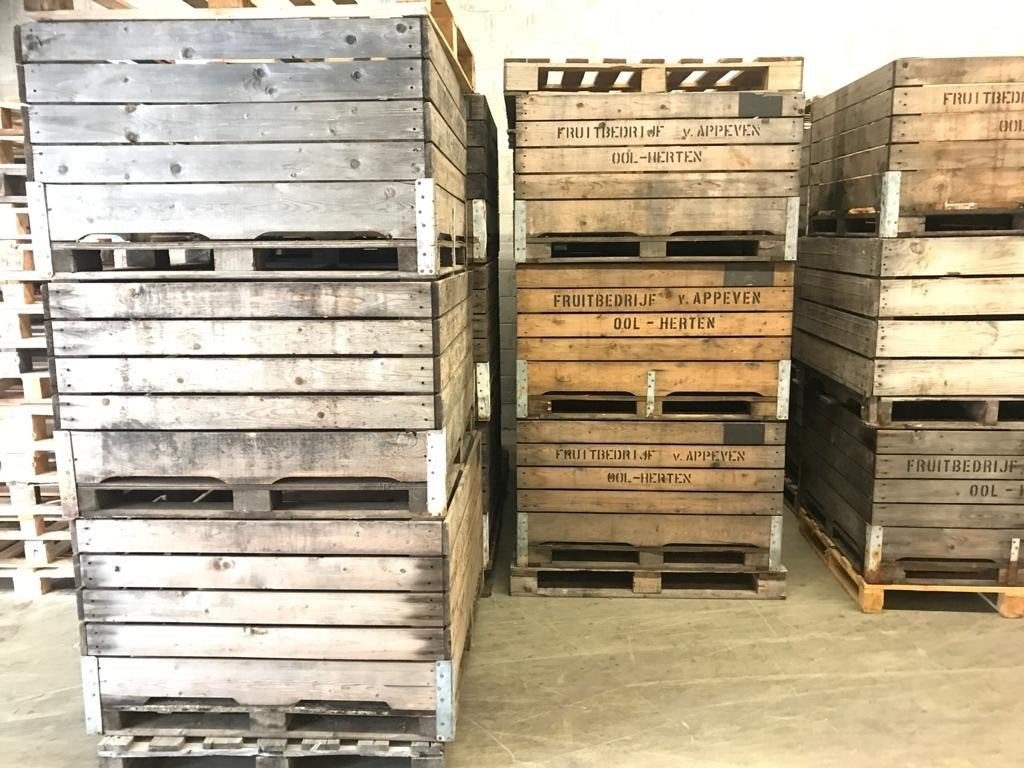 Houten fruitkisten / opslagkisten – plantenbak/moestuin, Ophalen, Gebruikt, Binnen, Rechthoekig