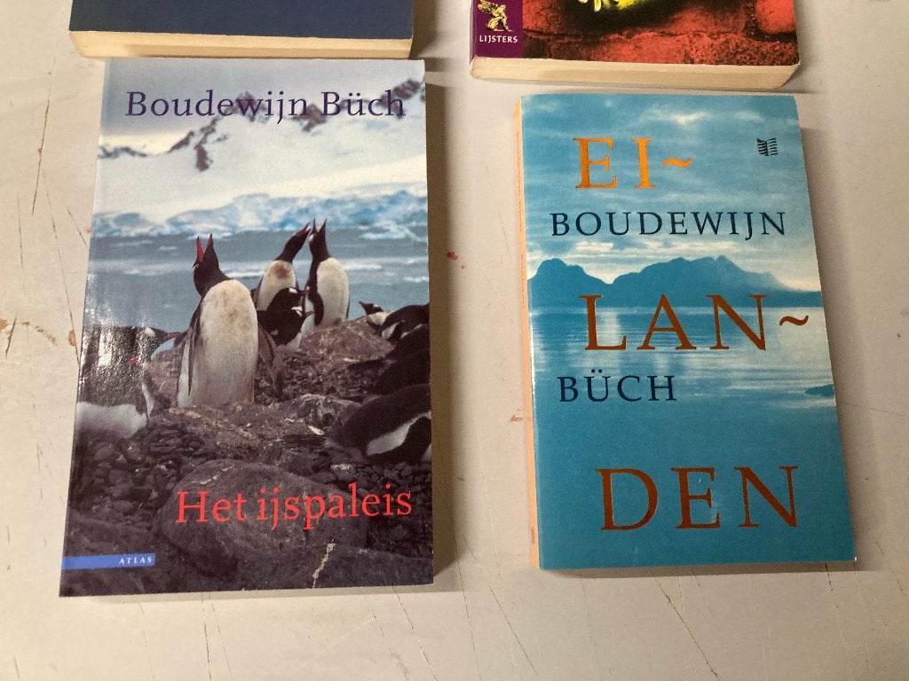 T.K. nog 6 boeken van Boudewijn Buch Zie actuele lijst, Boeken, Ophalen of Verzenden, Gelezen, Boudewijn Büch, Nederland