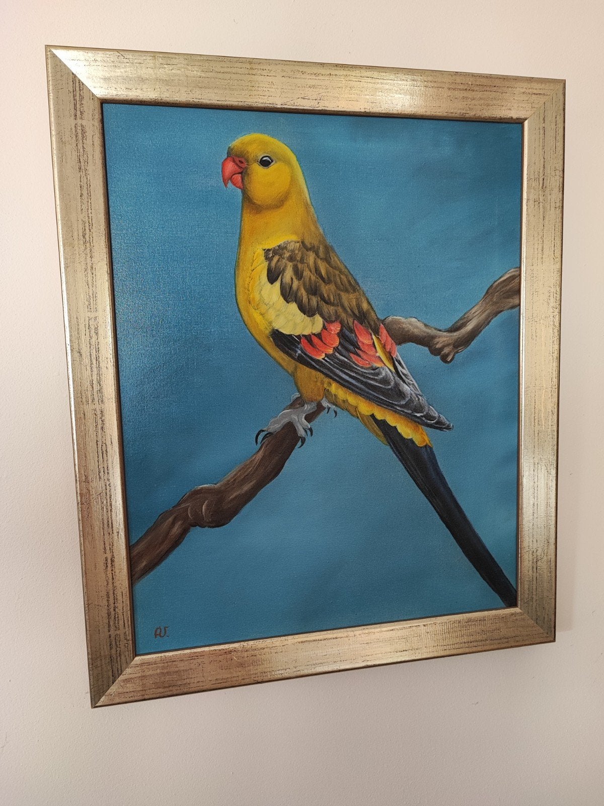 3 prachtige schilderijen van parkietachtigen., Antiek en Kunst, Ophalen, Gelakt/vernis, Acrylverf, Dieren