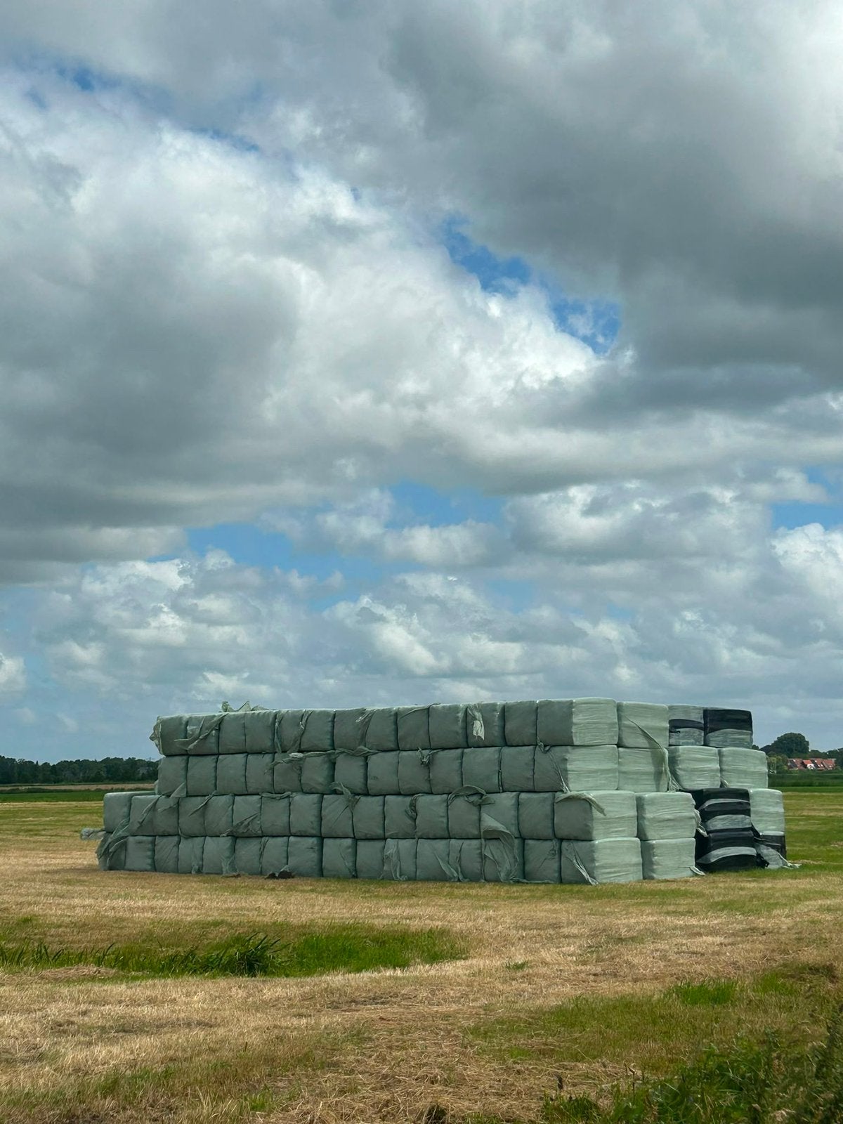 1ste snee hooi, perfect voor paarden