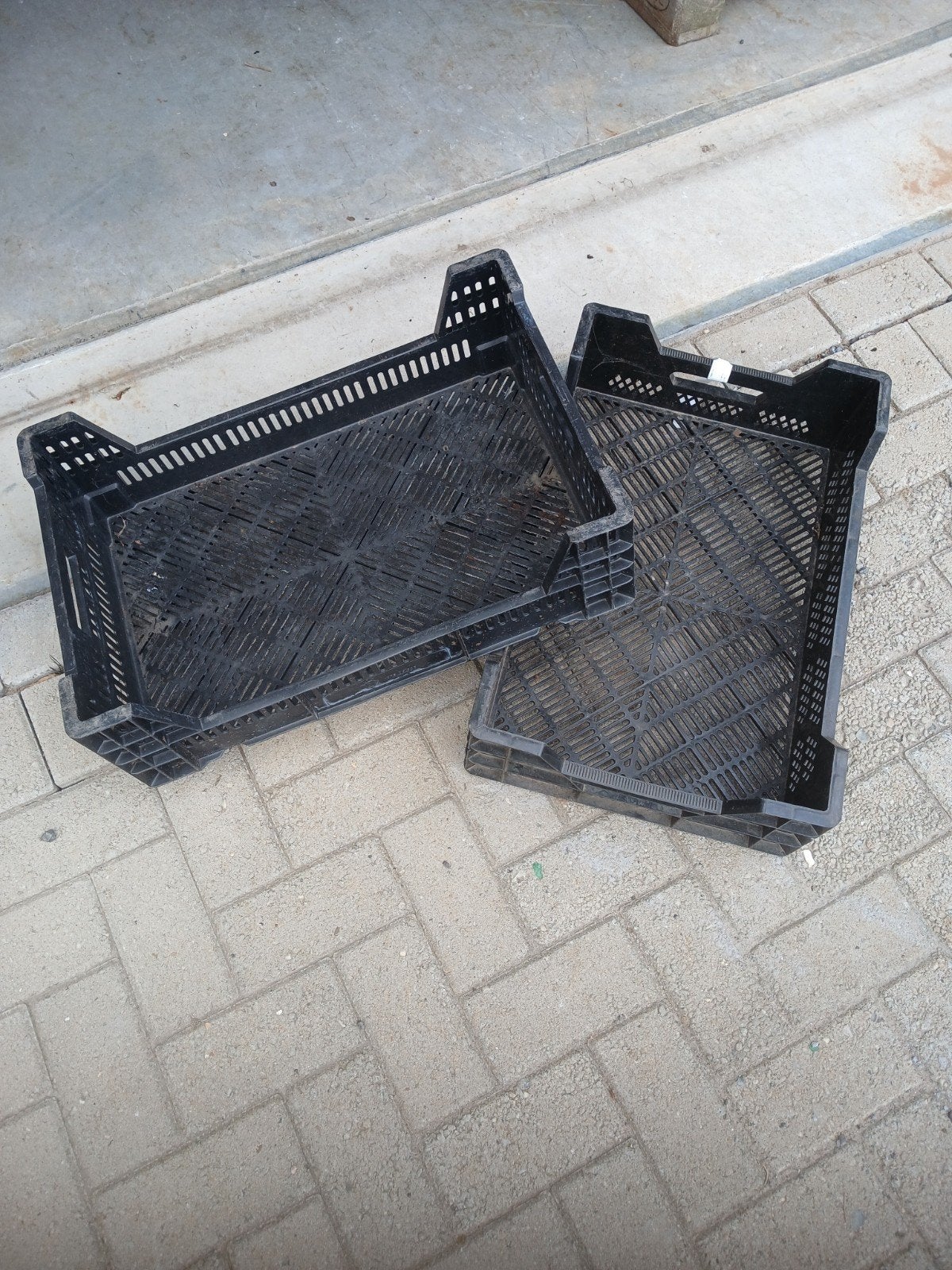 partij veenman kisten, Kunststof, Minder dan 40 cm, Rechthoekig, Ophalen