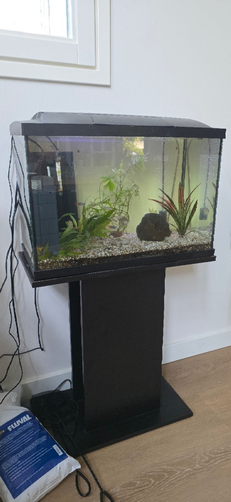 Aquarium met zuil, compleet, Ophalen, Gebruikt, Inclusief vissen, Gevuld zoetwateraquarium