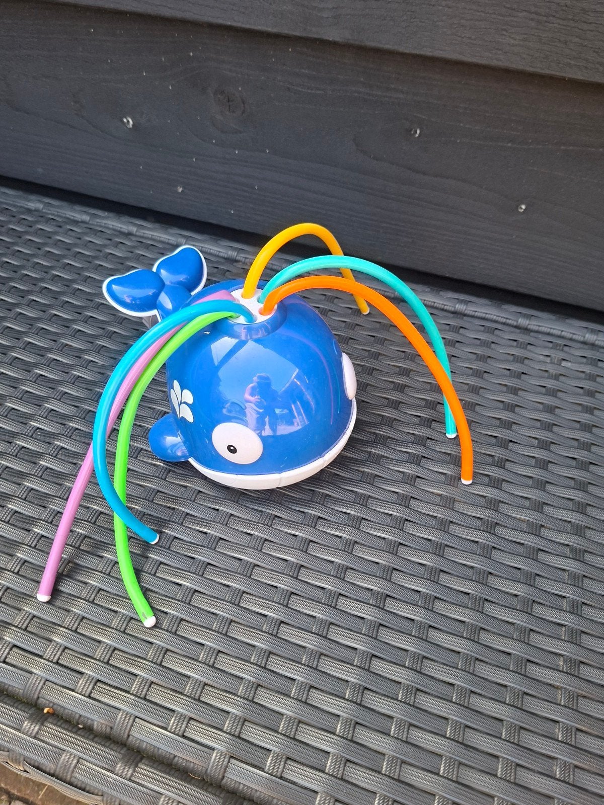 Walvis sproeier, Ophalen
