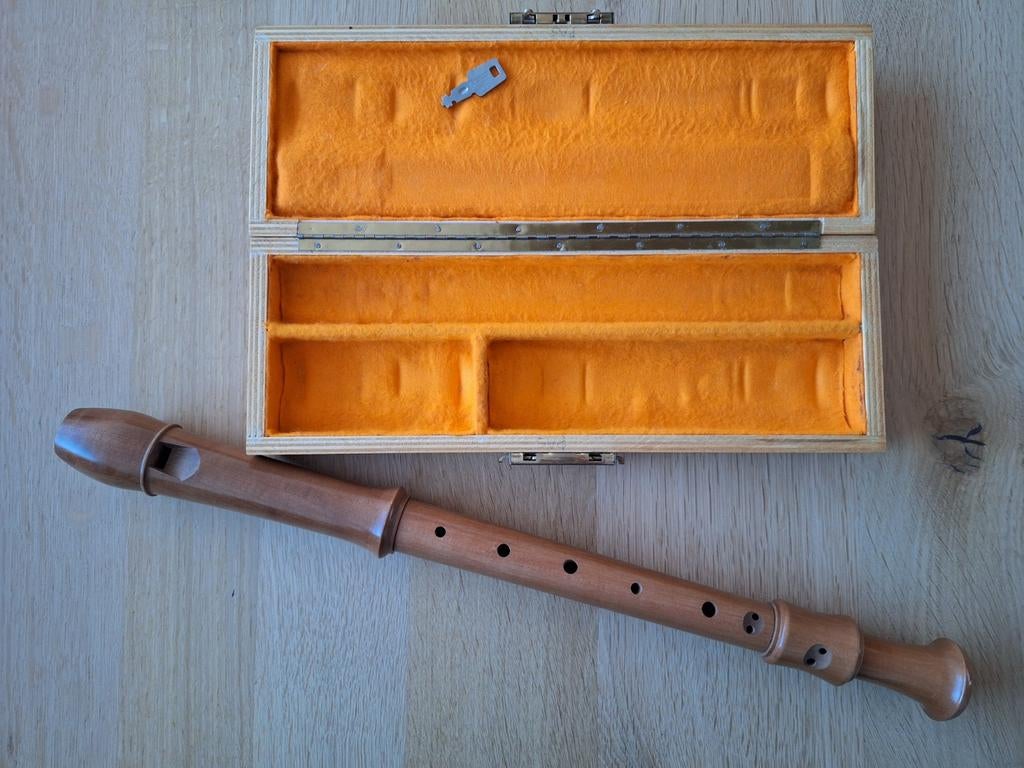 Aura altblokfluit, Muziek en Instrumenten, Blaasinstrumenten | Blokfluiten, Ophalen of Verzenden, Gebruikt, Alt, Met koffer, hoes of etui