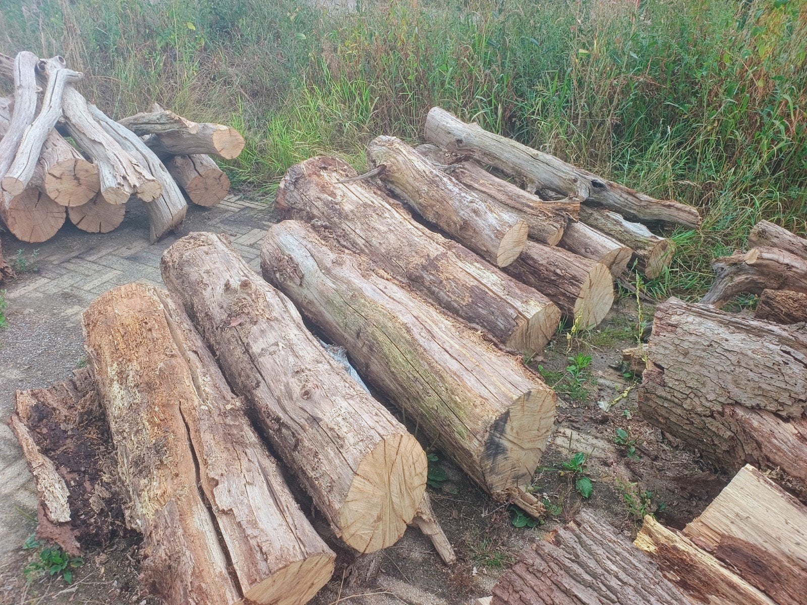 haardhout eik, Tuin en Terras, Haardhout, Minder dan 3 m³, Ophalen