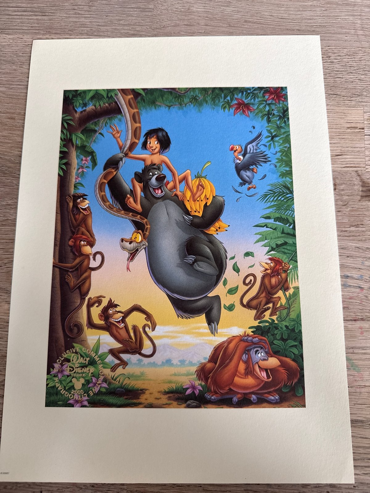 Originele Disney Lithografie - Jungle Boek, Origineel, Ophalen of Verzenden, Personages en Fantasiefiguren, Lithografie
