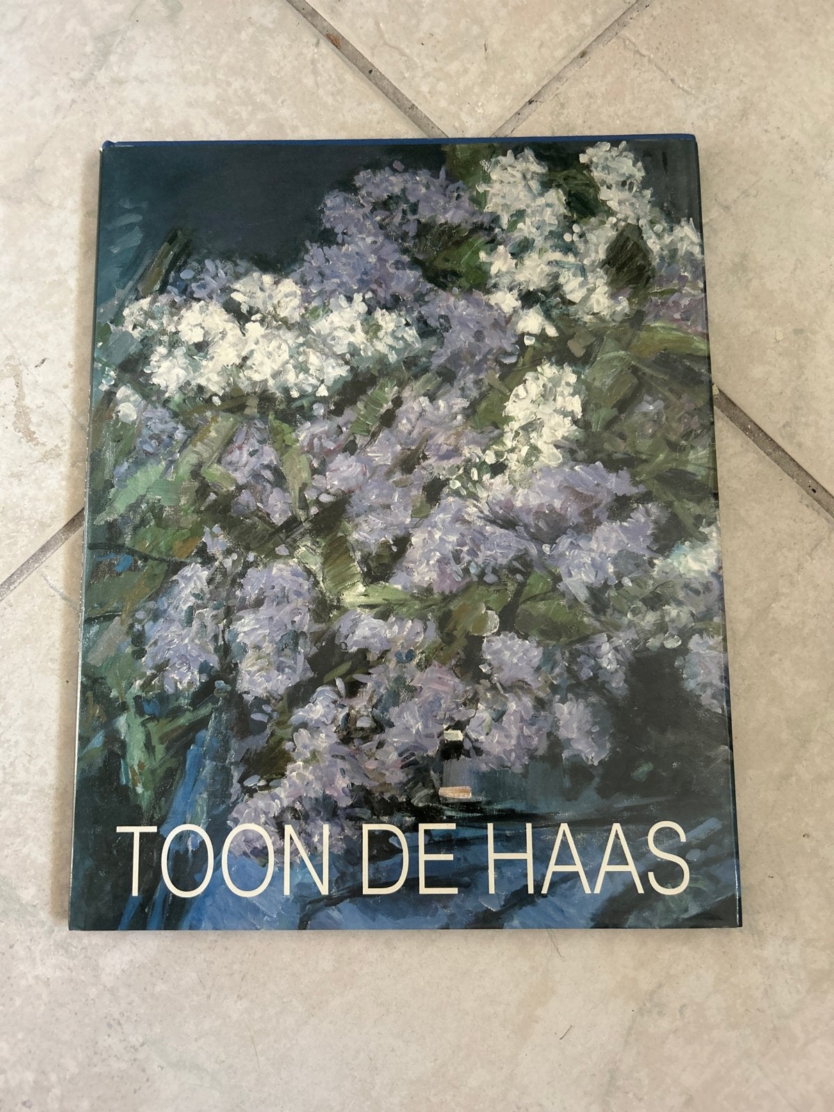 Toon de Haas - Kunstboek met schilderijen en tekeningen, Ophalen of Verzenden, Gelezen, Schilder- en Tekenkunst