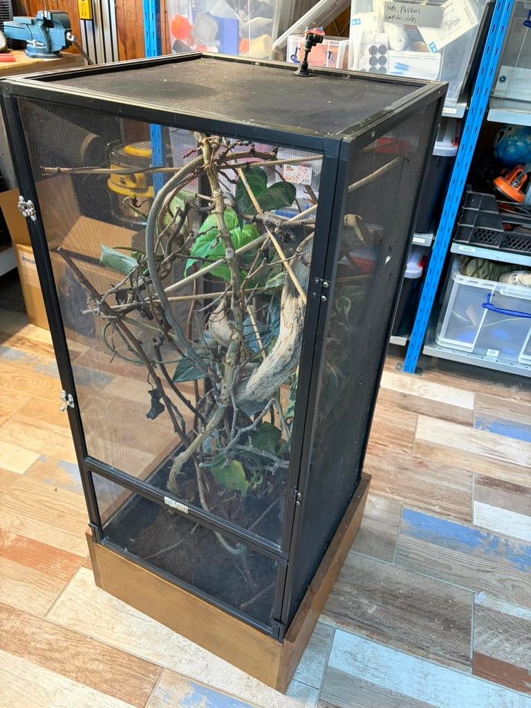 Kameleon terrarium, Ophalen, Gebruikt, Terrarium of Paludarium