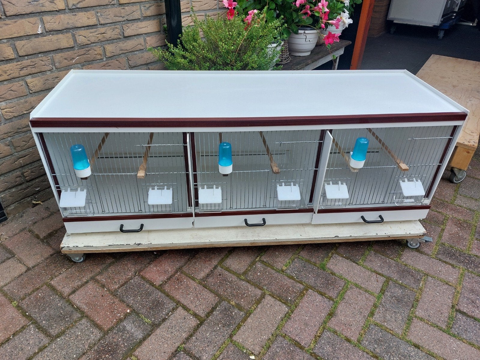 bakker kunstof broedkooi 124, Dieren en Toebehoren, Vogels | Hokken en Kooien, Ophalen, Zo goed als nieuw, Kunststof, Broedkooi of Kweekkooi