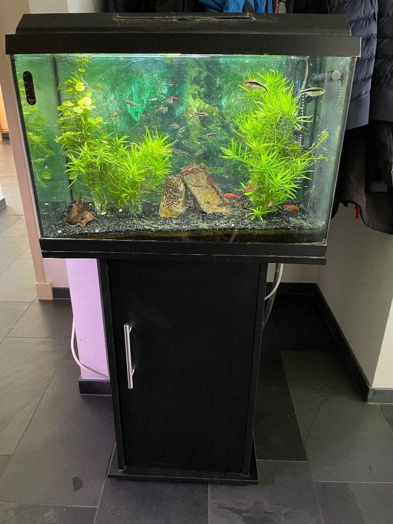 Aquarium Juwel 60 liter met onderkast, Ophalen, Gebruikt, Leeg aquarium, Juwel
