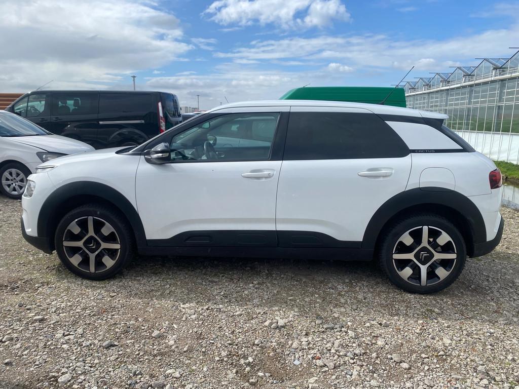 Citroen C4 Cactus 2018 * 1.2 PureTech Shine * EURO 6 * MOTOR, Auto's, Citroën, Voorwielaandrijving, 1005 kg, Lichtsensor, Euro 6
