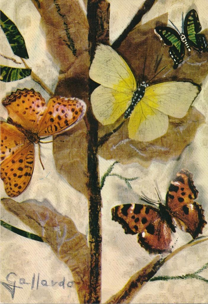 4 Mooie kaarten - Chromolitho "s, Ophalen of Verzenden, 1940 tot 1960, Ongelopen, Cultuur en Media