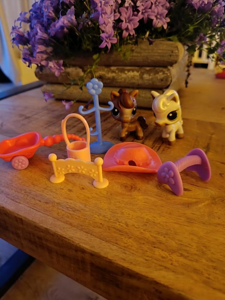 Littlest Petshop raceabout rance, Ophalen of Verzenden, Gebruikt