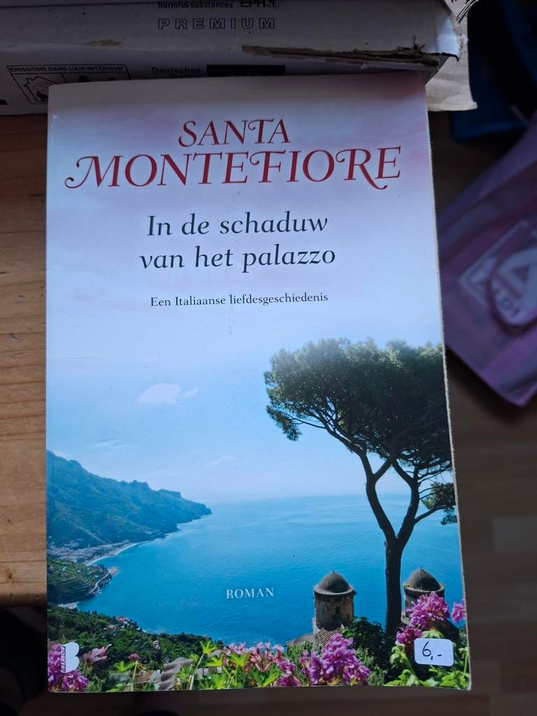 Santa Montefiore - In de schaduw van het palazzo, Boeken, Romans, Gelezen, Ophalen of Verzenden, Santa Montefiore, Nederland