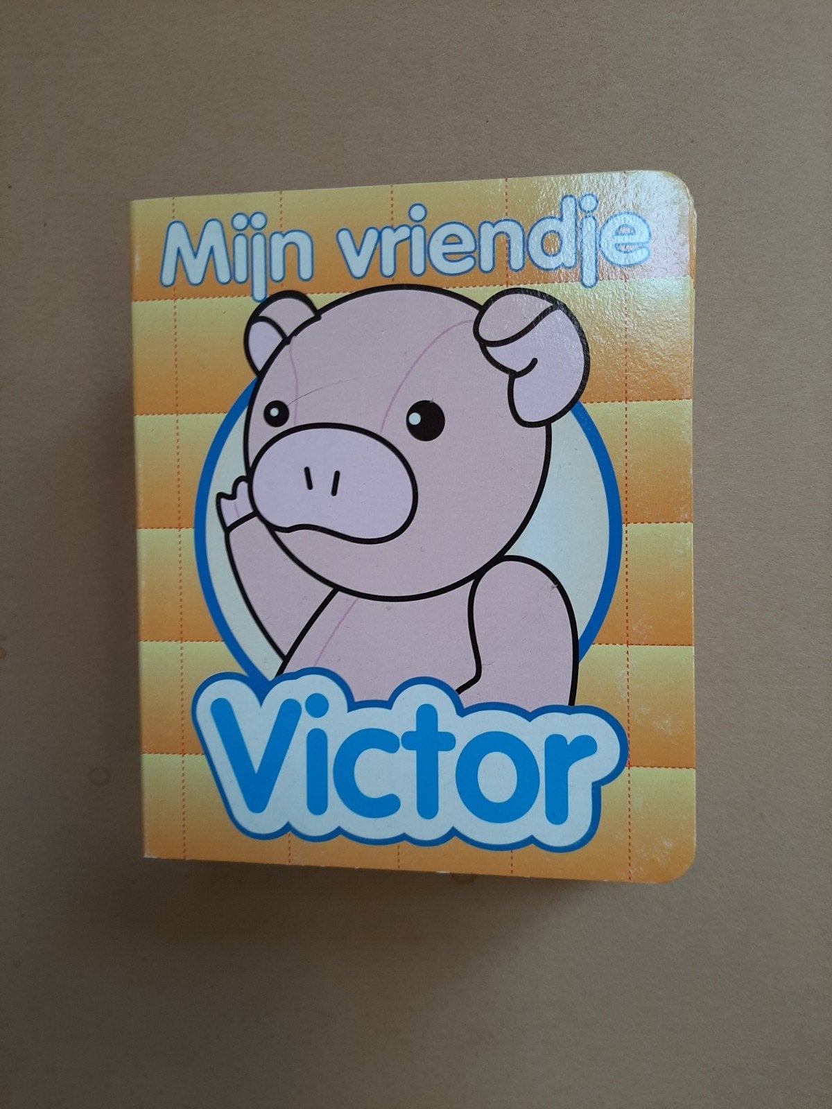 Mijn vriendje Victor - Kartonboekje, Ophalen of Verzenden, Zo goed als nieuw, 0 tot 6 maanden