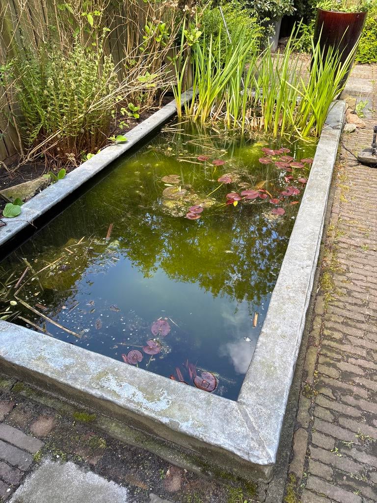 Gratis vijver 170x400 op te halen in Leeuwarden, Ophalen, Zo goed als nieuw