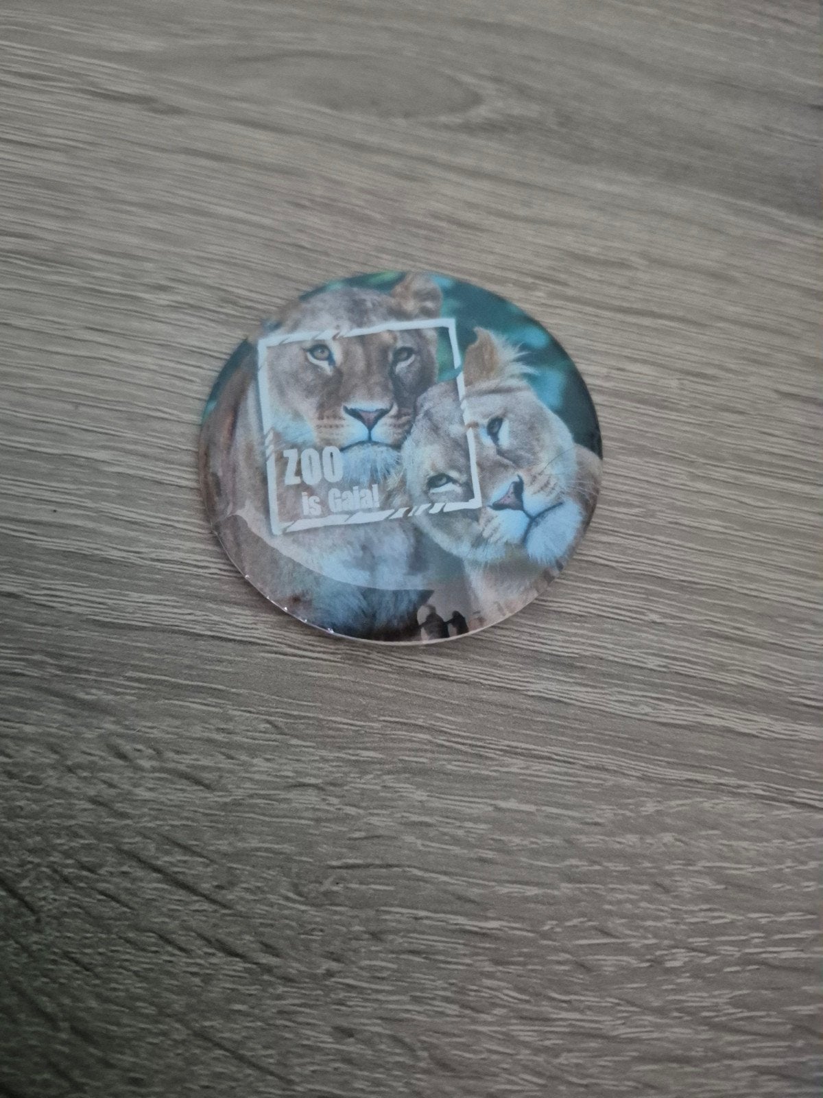 gaiazoo leeuw button gaia zoo dierentuin, Ophalen of Verzenden, Zo goed als nieuw