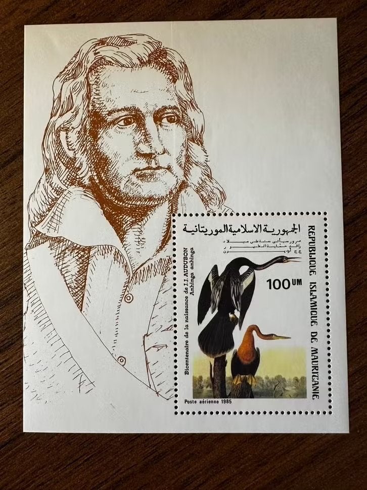 Mauritanië 1985 Vogels postfris - Bicentenaire J.J. Audubon, Postzegels en Munten, Ophalen of Verzenden, Overige landen, Postfris