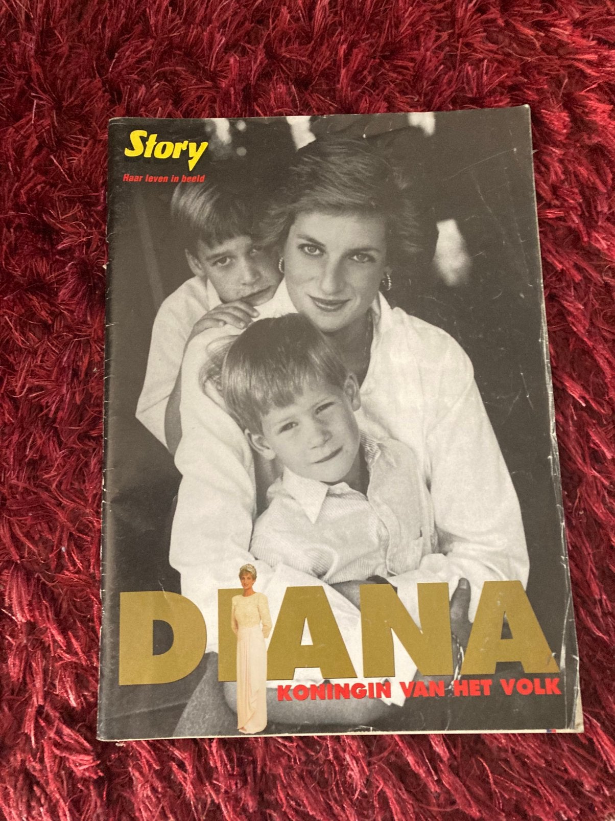 Diana, koningin van het volk, Ophalen, Gebruikt, Buitenland, Tijdschrift of Boek