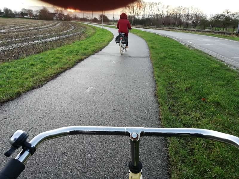 Omgev Duiven Te koop bad/fiets/ koelkast, Ophalen of Verzenden