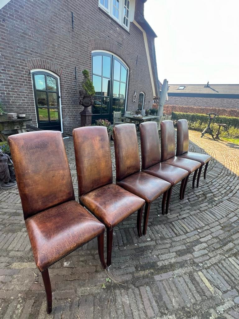 6 schapenleren eetkamerstoelen, Ophalen, Gebruikt, Bruin, Leer