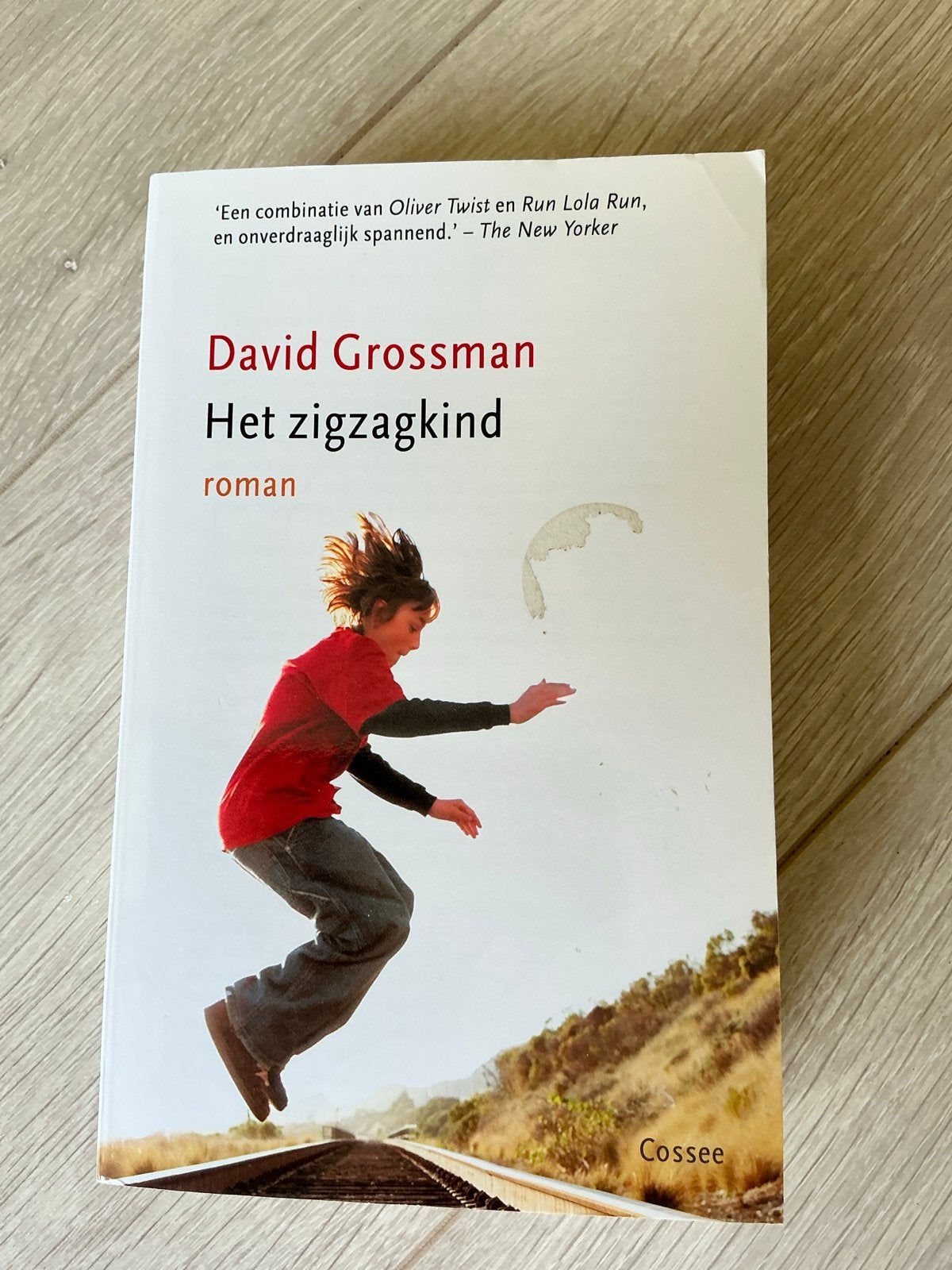 Het zigzagkind - David Grossman (roman), Ophalen of Verzenden, Gelezen, Nederland