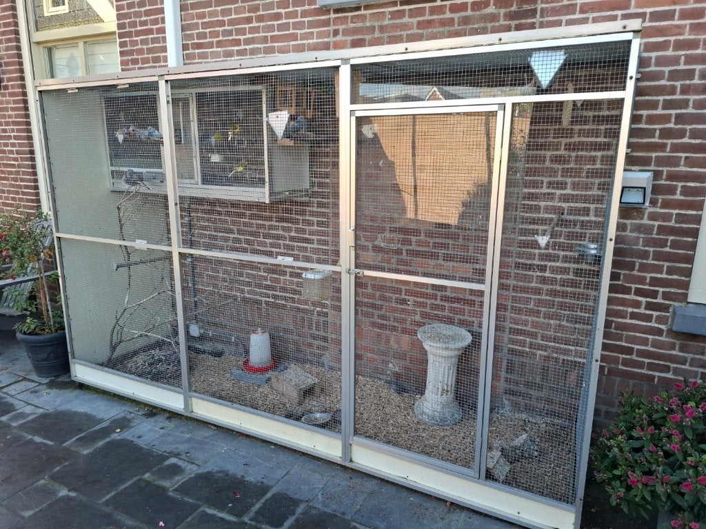 Vogelvoliere, Dieren en Toebehoren, Ophalen, Gebruikt, Aluminium, Volière