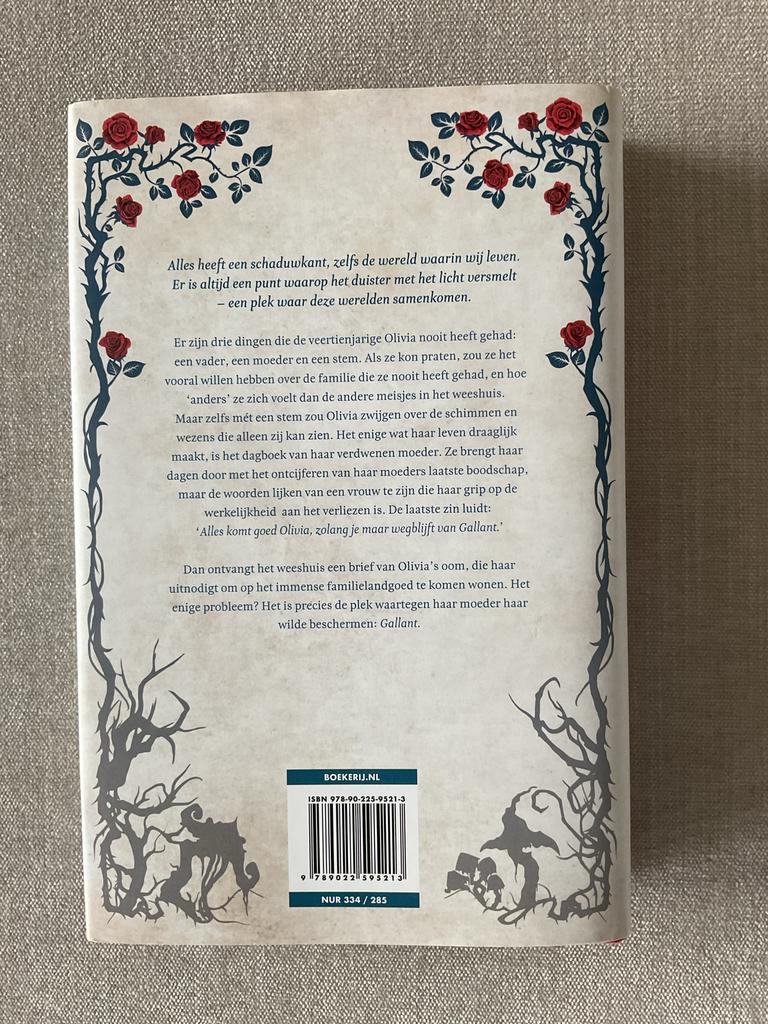 Gallant - V.E. Schwab (Limited Edition) NL SPRAYED EDGES, Boeken, Ophalen of Verzenden, Zo goed als nieuw, Nederland