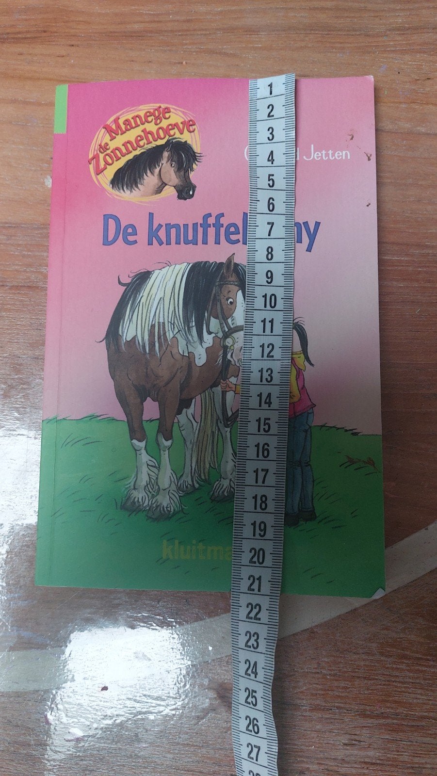 De Knuffelpony - De Manege Zonnehoeve, Ophalen of Verzenden, Gelezen, Gertrud Jetten, Fictie algemeen