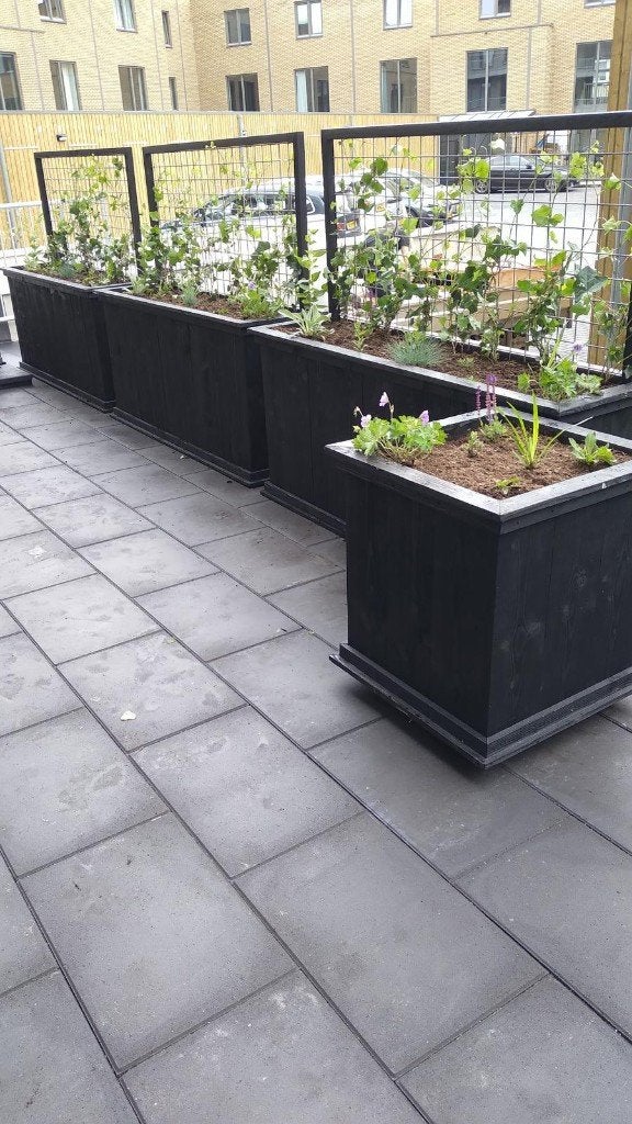 Douglas houten maatwerk bloembakken, planten sierbakken, Ophalen, Vierkant, Nieuw, Tuin