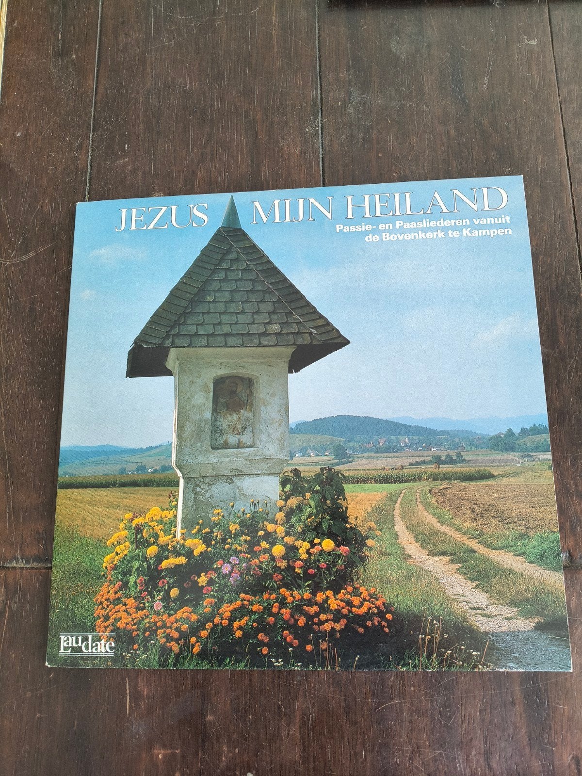 Jezus Mijn Heiland - Passie- en Paasliederen LP (Nieuwstaat), Cd's en Dvd's, Ophalen, LP, Overige genres, Zo goed als nieuw