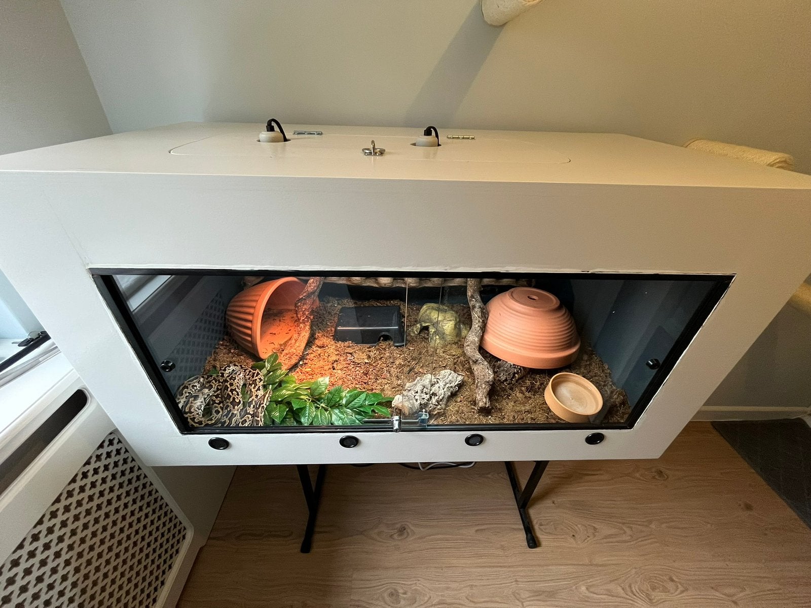 Compleet multiplex terrarium 120x60x70cm, Ophalen, Gebruikt, Terrarium of Paludarium