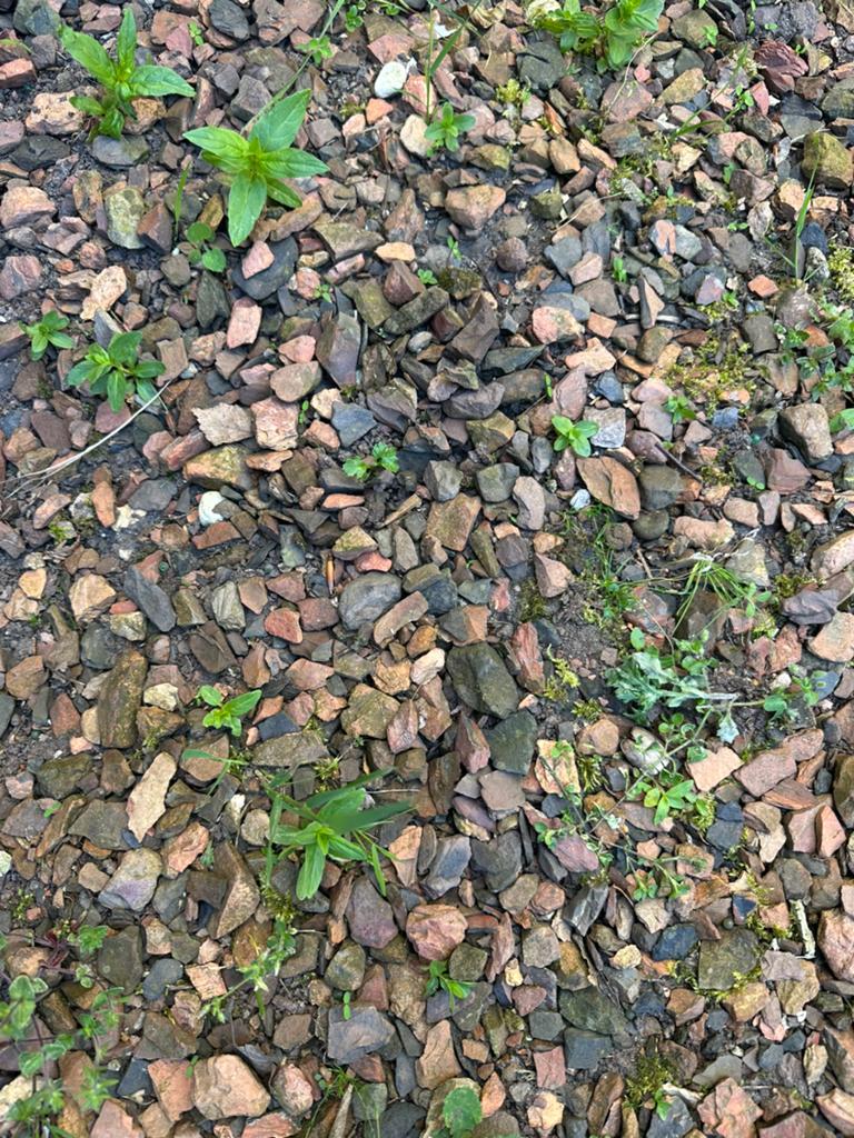 Rood grind, Tuin en Terras, Grind, Keien en Split, Ophalen, Gebruikt, Rood