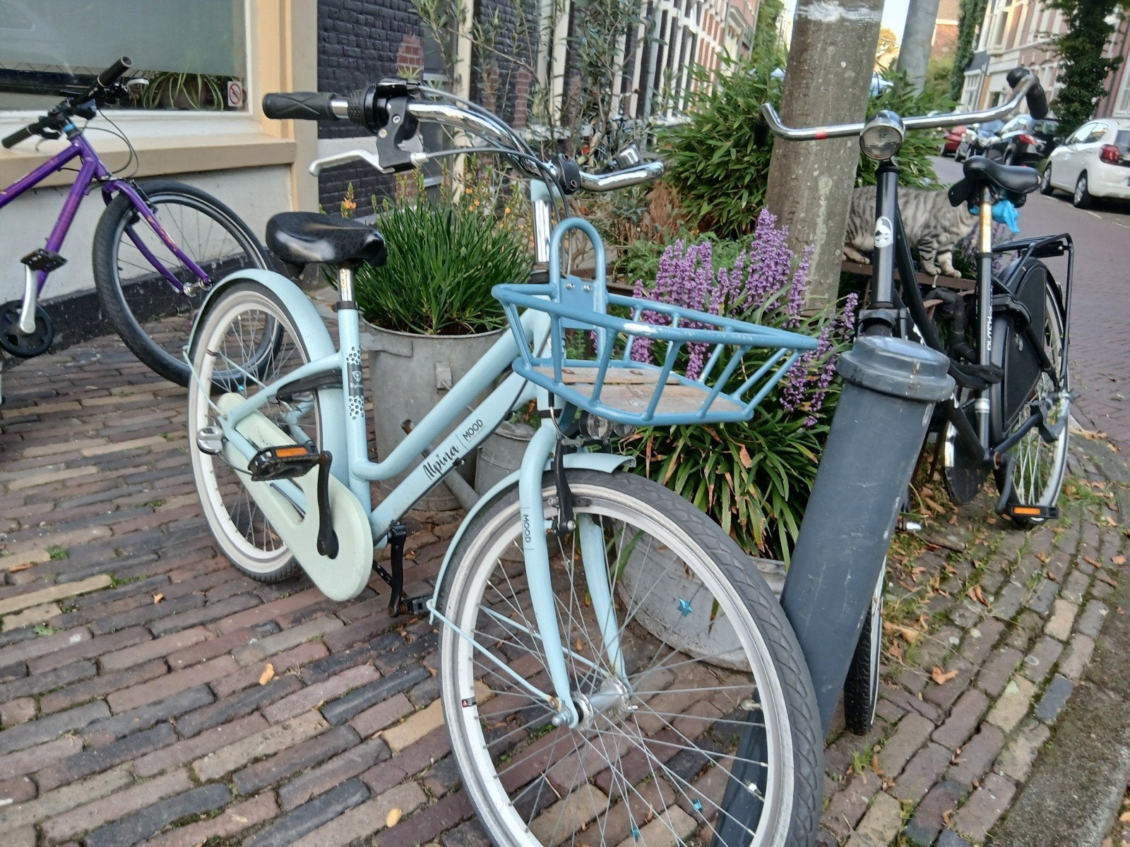Alpina Mood 24 inch meisjesfiets - Gebruikt, Fietsen en Brommers, Ophalen, Alpina, Versnellingen, Gebruikt