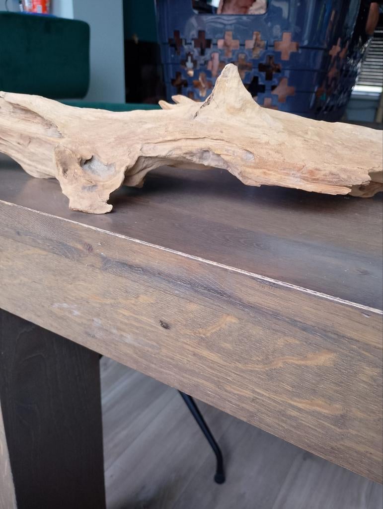 Een houten speel plank voor reptielen, Ophalen of Verzenden, Plant(en), Steen of Hout