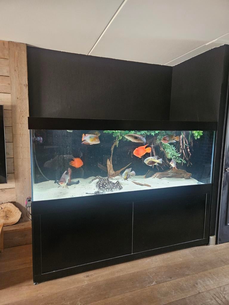 Groot aquarium, Dieren en Toebehoren, Vissen | Aquaria en Toebehoren, Ophalen of Verzenden, Zo goed als nieuw, Leeg aquarium
