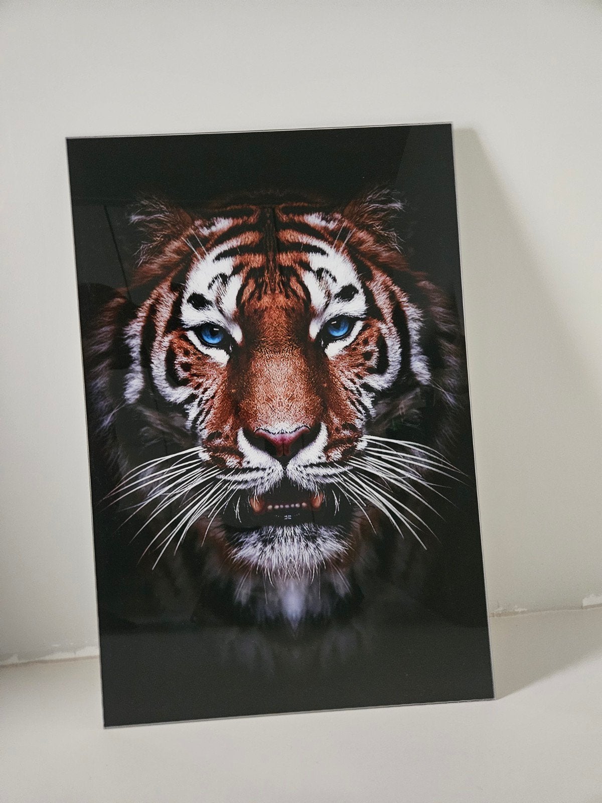 Muurdecoratie Tijger Gehard Glas 60x90 cm (Wallfield), Ophalen of Verzenden, Nieuw, Schilderij