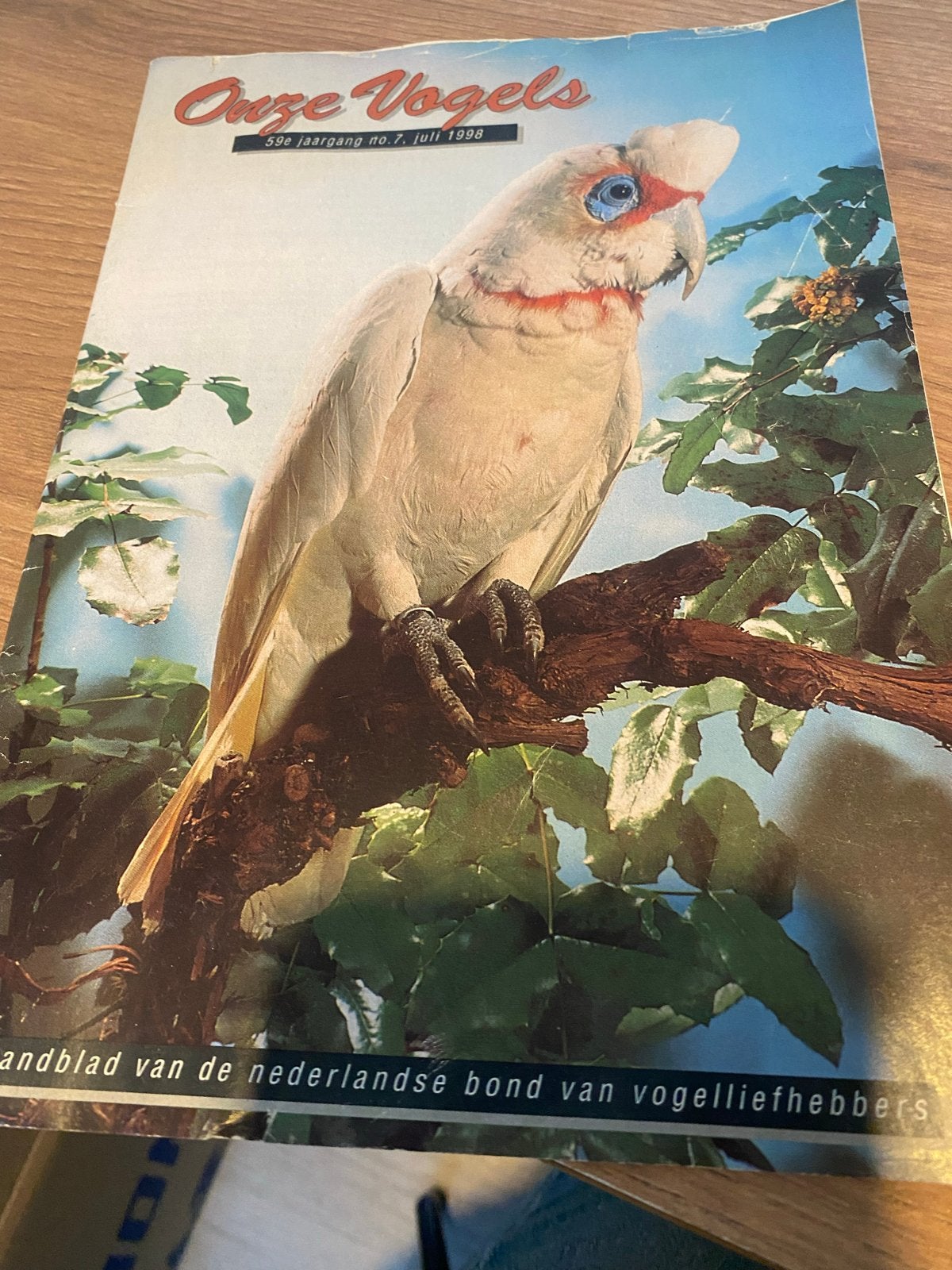 Onze Vogels - 59e jaargang no.7, juli 1998, Ophalen of Verzenden, Gelezen, Wetenschap en Natuur