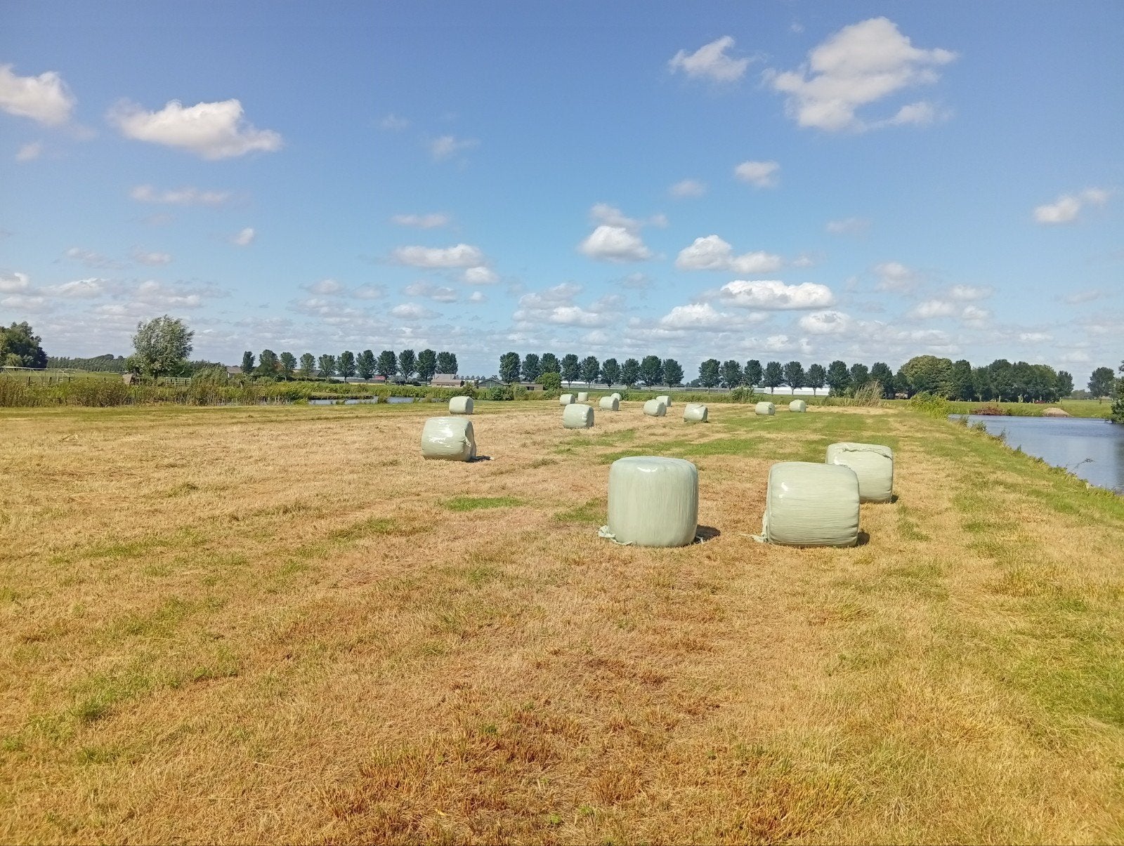 21 Midi Kuilbalen