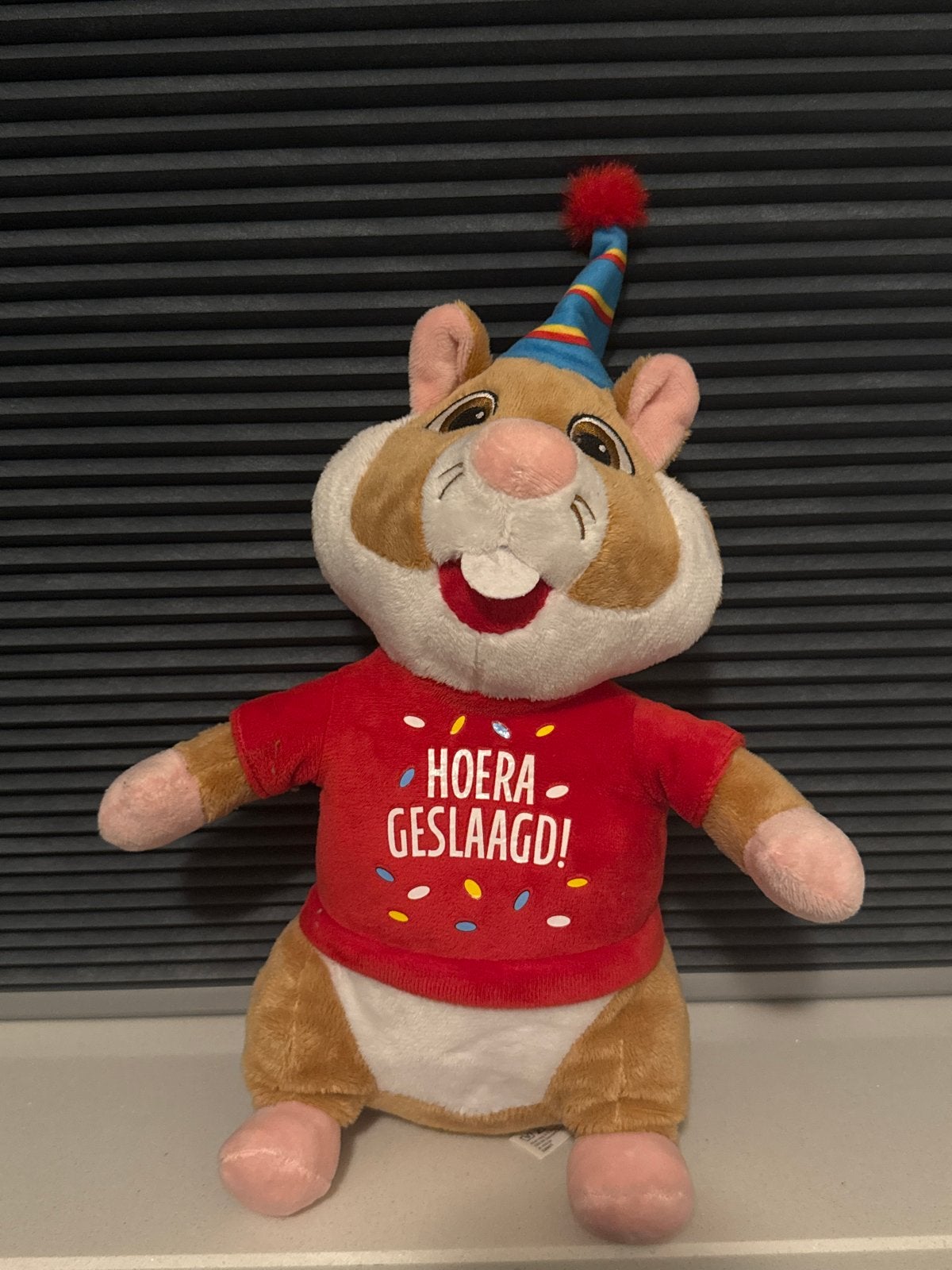 Geslaagd Hamster Knuffel Albert Heijn, Kinderen en Baby's, Hamster, Ophalen of Verzenden, Zo goed als nieuw, Middelgroot (20 tot 80 cm)