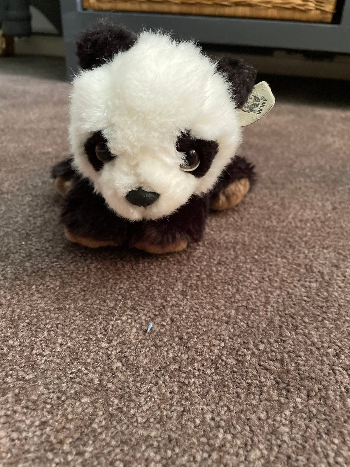 Schattige WWF Panda Knuffel - nieuw, Ophalen, Overige merken, Overige karakters, Overige typen