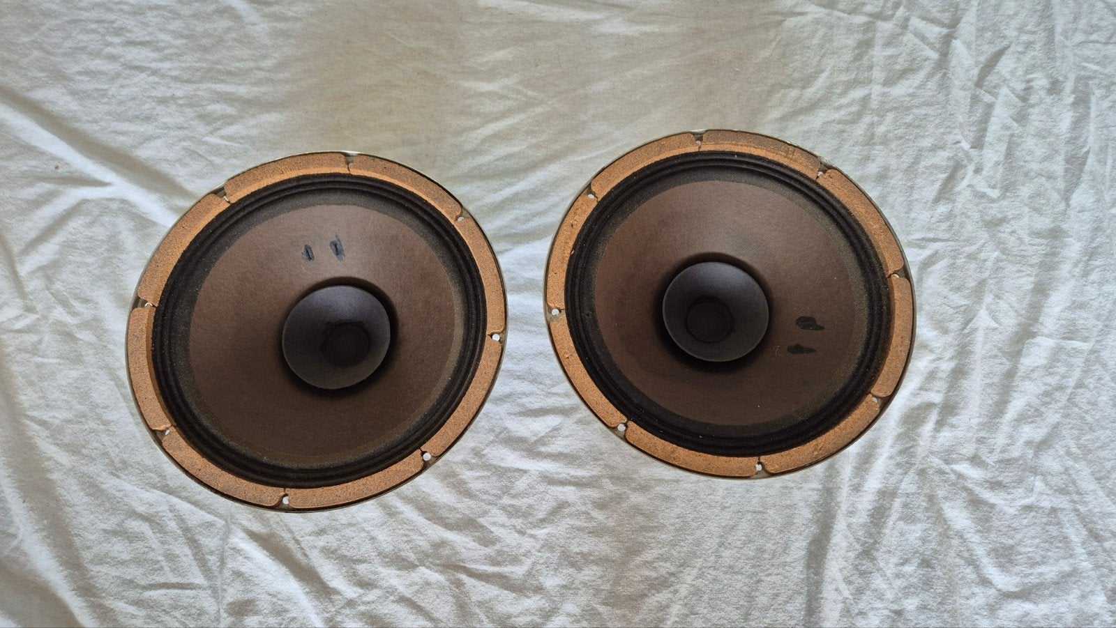Philips Breedband luidsprekers AD 12100 M8